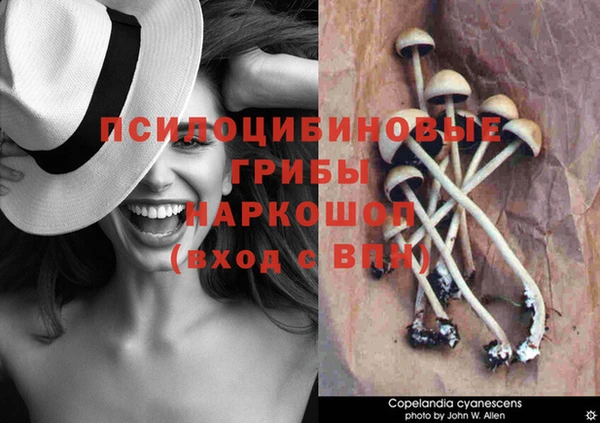 COCAINE Богданович