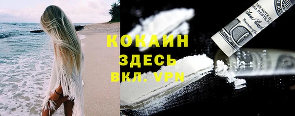 кокс Белокуриха