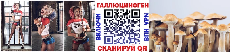 купить  цена  Когалым  Псилоцибиновые грибы мухоморы 